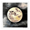 Celestial Moon Art Print
