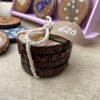 Hand-painted Daffodil Coaster Bundle Becca Moody Art 5