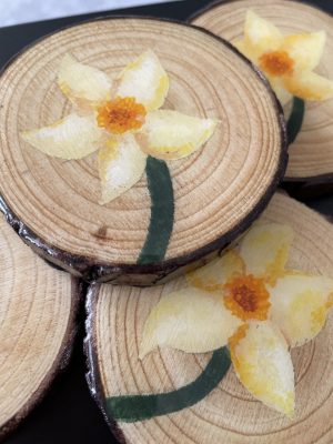 Hand-painted Daffodil Coaster Bundle Becca Moody Art