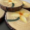 Hand-painted Daffodil Coaster Bundle Becca Moody Art 3