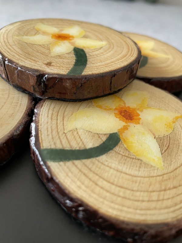 Hand-painted Daffodil Coaster Bundle Becca Moody Art 3