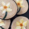 Hand-painted Daffodil Coaster Bundle Becca Moody Art 2